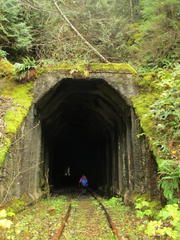 salmonberry-tunnel