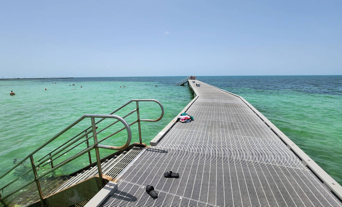 Higgs beach pier snorkeling