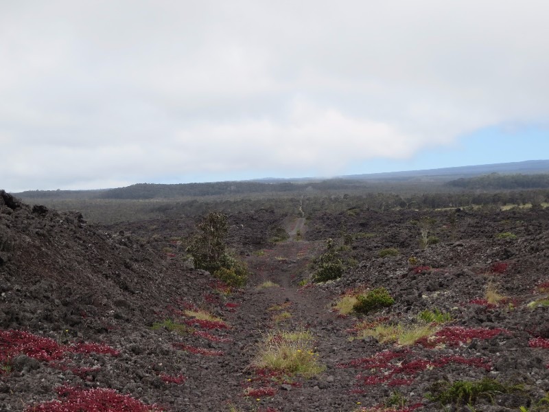 Emesine Cave Lava Tube